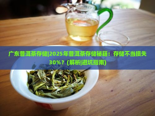 广东普洱茶存储