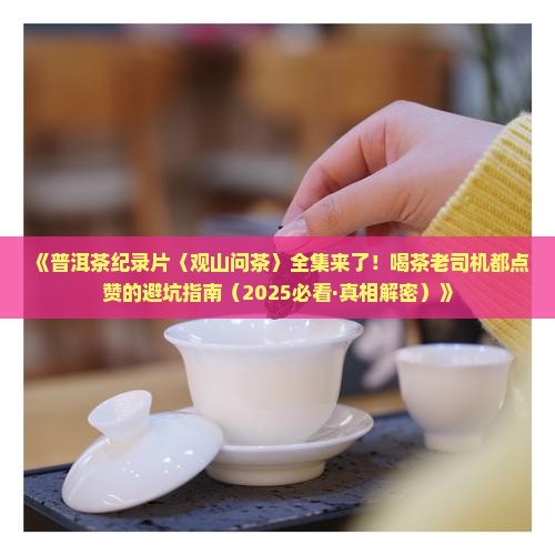 普洱茶纪录片观山问茶全集