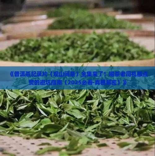 普洱茶纪录片观山问茶全集