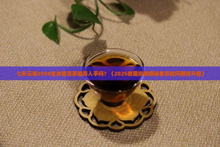 七彩云南2004生肖普洱茶