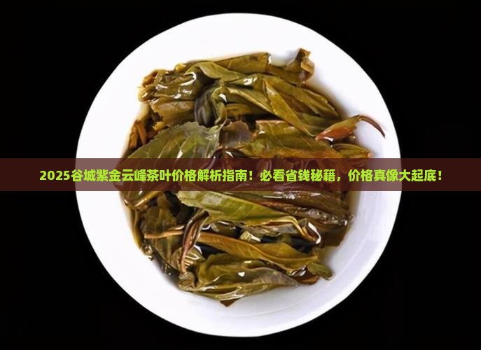 谷城紫金云峰茶叶价格