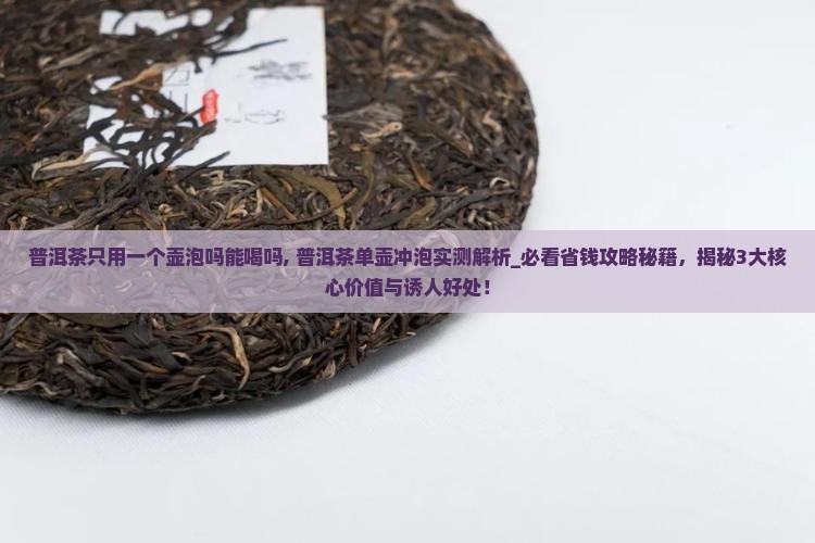 普洱茶只用一个壶泡吗能喝吗