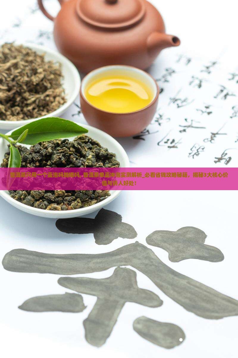 普洱茶只用一个壶泡吗能喝吗