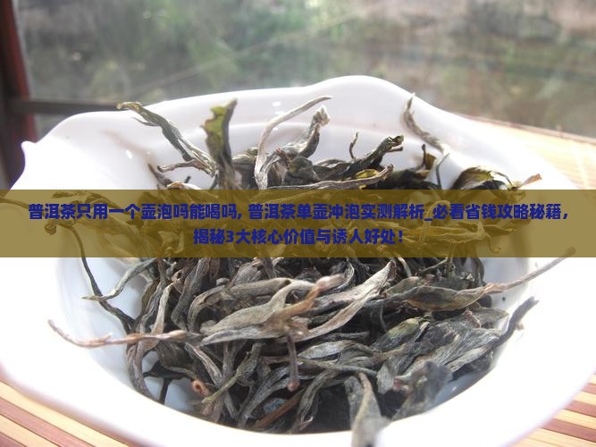 普洱茶只用一个壶泡吗能喝吗