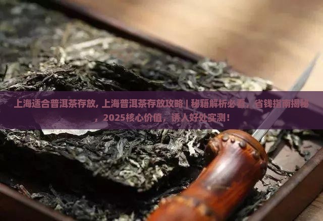 上海适合普洱茶存放