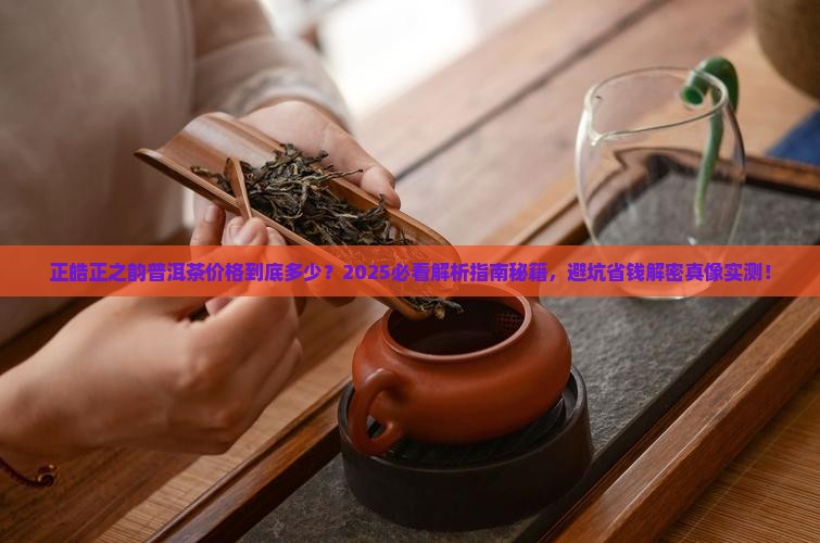 正皓正之韵普洱茶价格