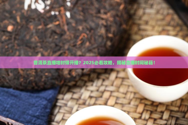 普洱茶直播什么时候播出