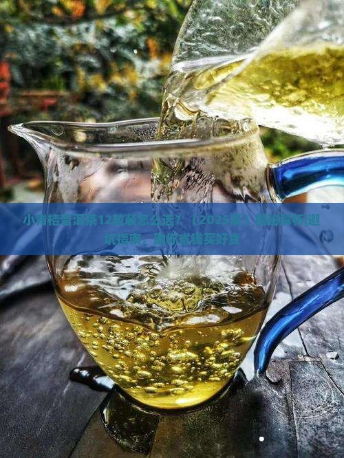 小青桔普洱茶12粒装