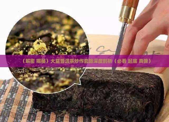 炒作大益普洱茶
