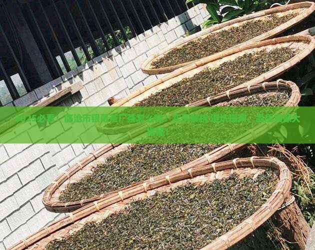 临沧市银毫茶厂的茶怎么样