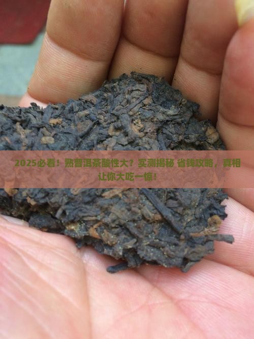 熟普洱茶的酸性大