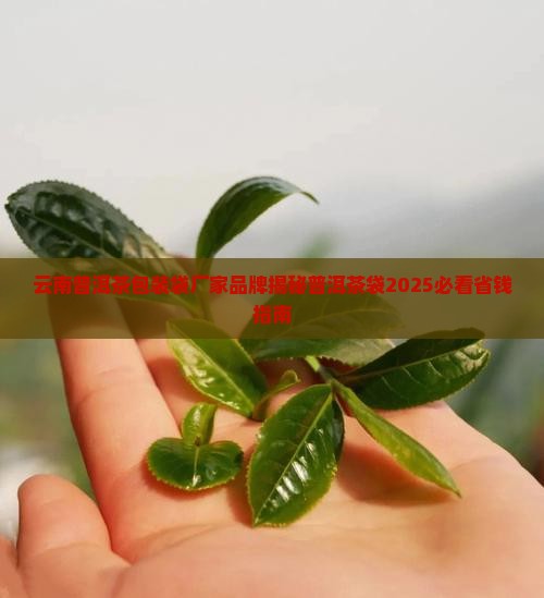 普洱茶一提包装袋