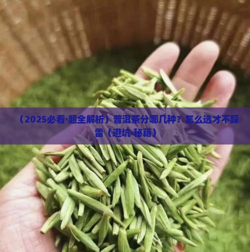 普洱茶的分类品种和特点是什么