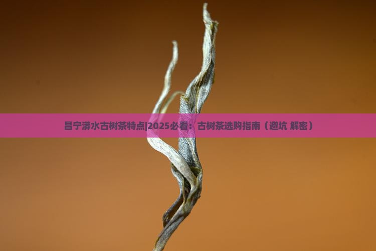 昌宁漭水古树茶特点