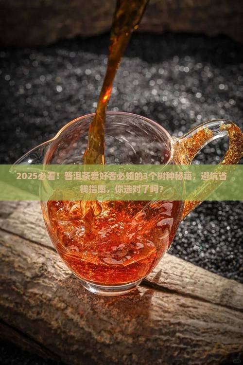 大部分普洱茶用什么树种好