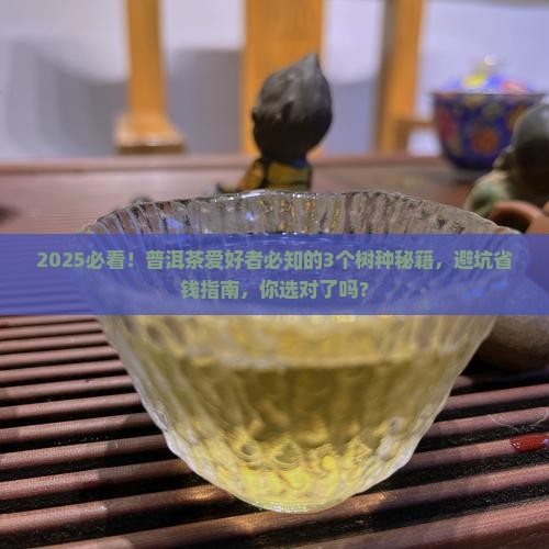 大部分普洱茶用什么树种好
