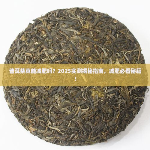 普洱茶有减肥吗