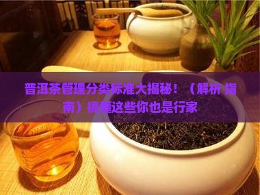 普洱茶管理分类标准是什么
