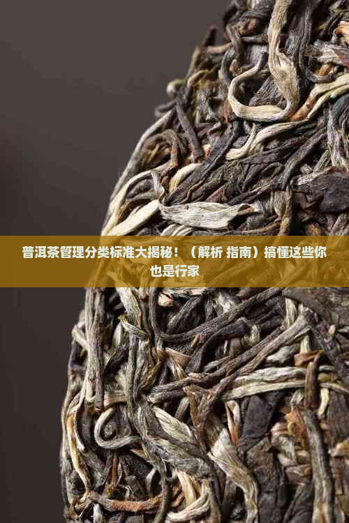 普洱茶管理分类标准是什么