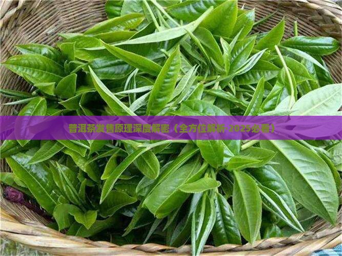 普洱茶发售原理