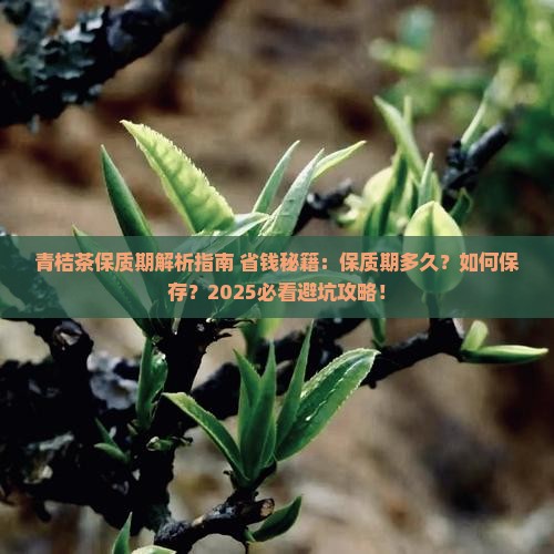 青桔茶有保质期吗