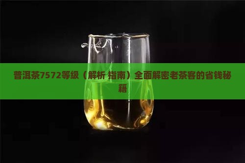 普洱茶7572等级