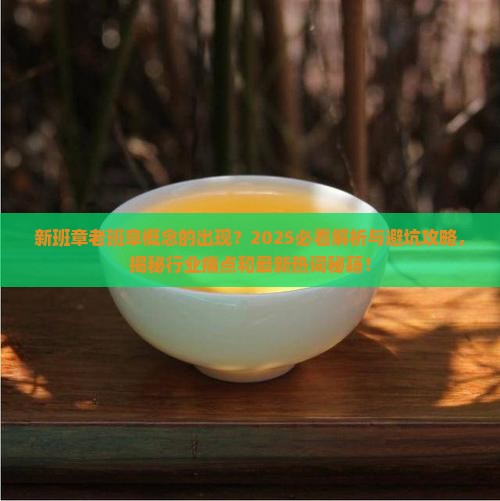 新班章老班章概念的出现