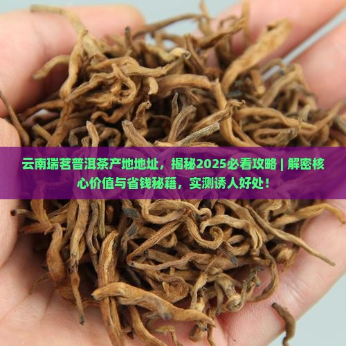 云南瑞茗普洱茶产地地址