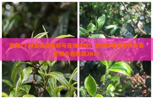 普秀7734普洱茶