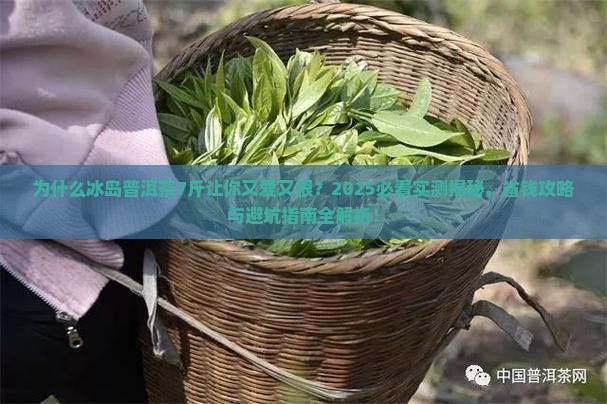 冰岛普洱茶7斤