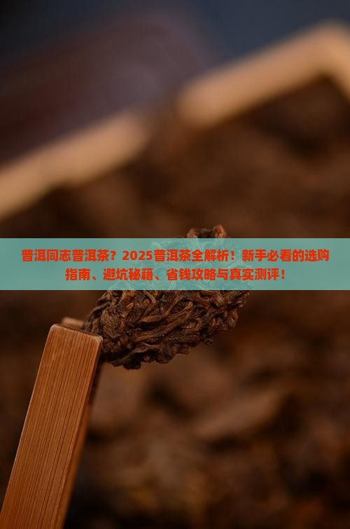 普洱同志普洱茶