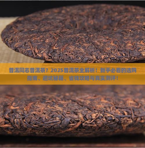 普洱同志普洱茶