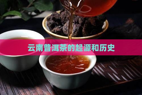 云南普洱茶的起源和历史