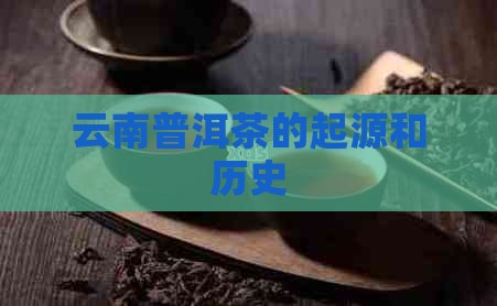 云南普洱茶的起源和历史