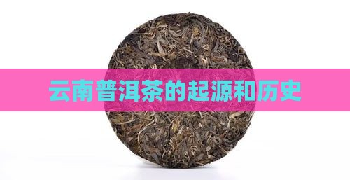 云南普洱茶的起源和历史