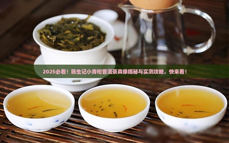 陈生记小青柑普洱茶正品