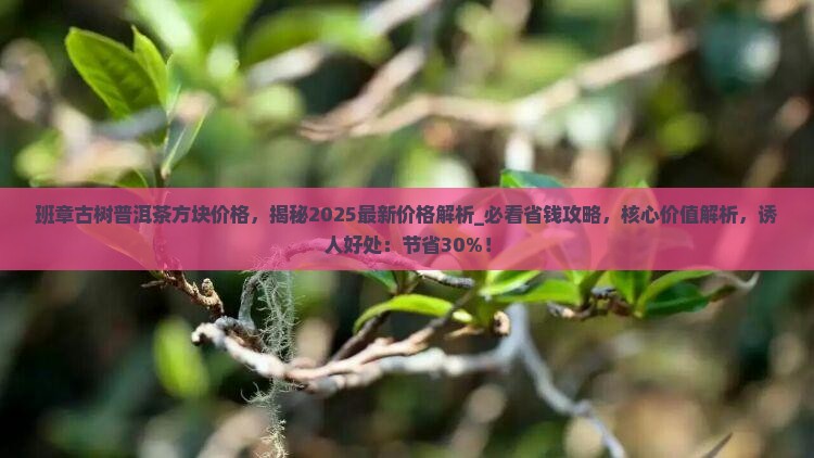 班章古树普洱茶方块价格