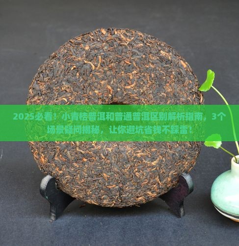 小青桔普洱和普通普洱区别