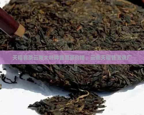 天福茗茶云南大叶种普洱茶