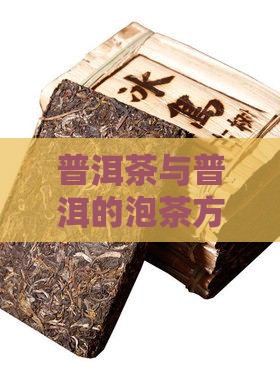 普洱茶能泡茶吗