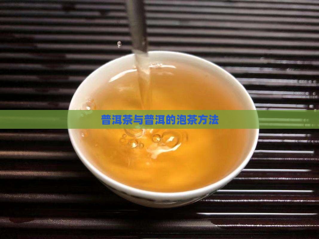 普洱茶能泡茶吗