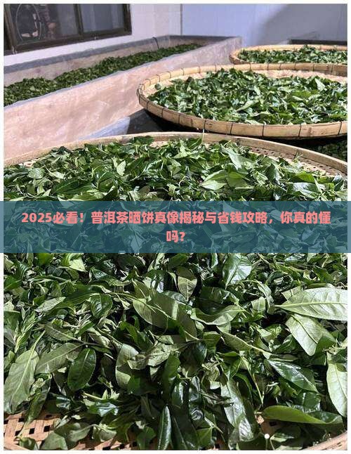 普洱茶能晒饼吗