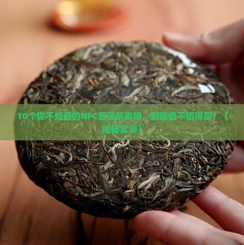 nfc普洱茶品种