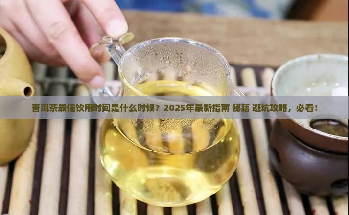 普洱茶的什么时候喝