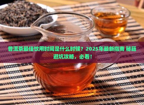 普洱茶的什么时候喝