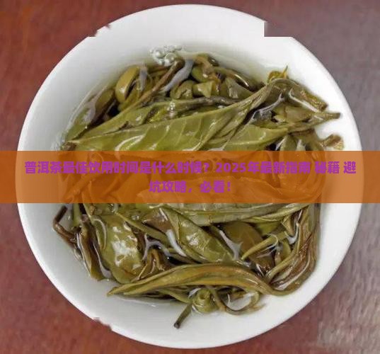 普洱茶的什么时候喝