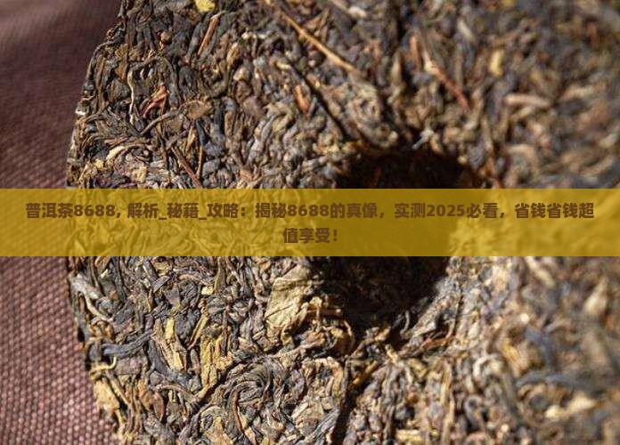 普洱茶8688