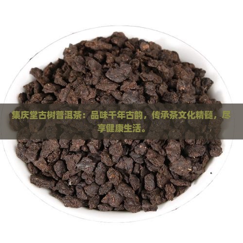 集庆堂古树普洱茶