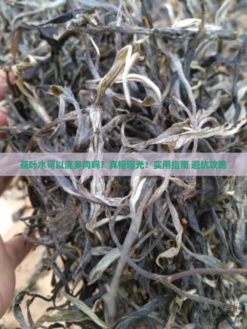 茶叶水可以浇多肉吗