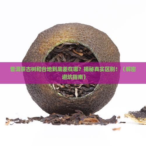 普洱茶古树和台地的区别